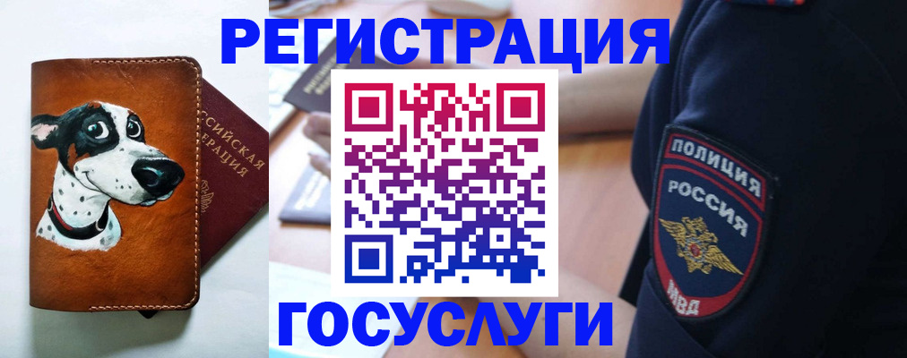 временная регистрация в квартире в Судогде